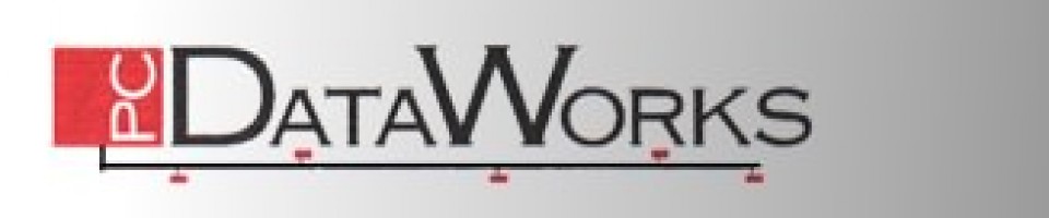 PC DataWorks, Inc. - Business Development Through IT
